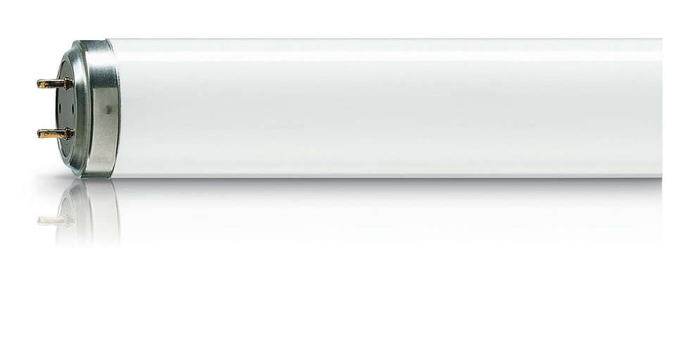 Philips TL 20W/01 RS SLV/25 (Qty. 2)