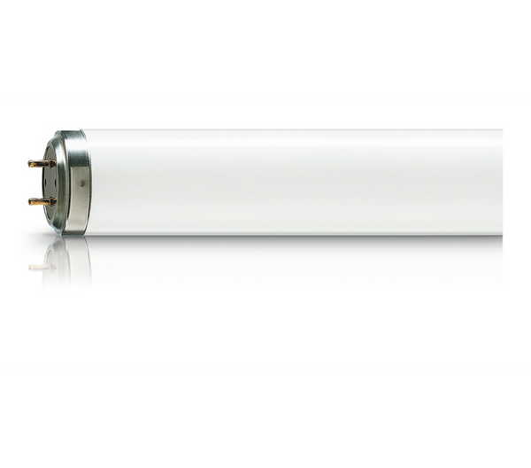 Philips Actinic BL TL 40W/10 SLV/25 (Qty. 3)